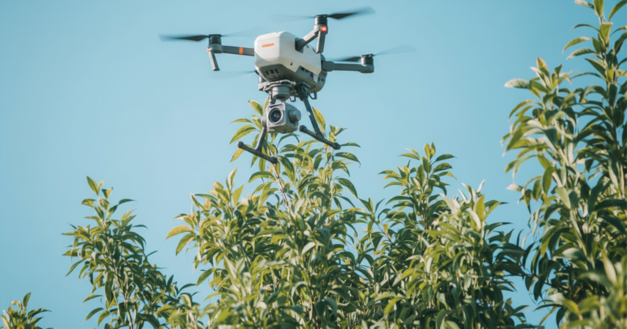 Ahorro, inversión y rentabilidad del dron